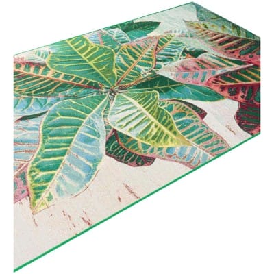 Tapete Exterior Botánico Grandes Hojas