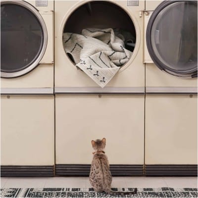 Tapete Nadia Tribal en Marfil